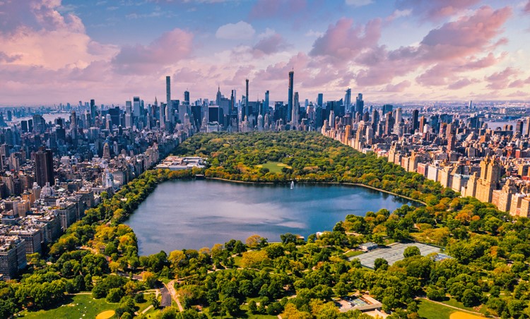 Central Park: Şehrin Kalbindeki Doğal Cennet