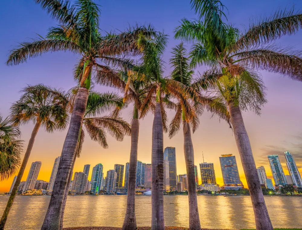 Aileyle Miami Özel Turu | Amerika Turum: Miami’de Ailenizle veya Arkadaşlarınızla Özel Rehberli Tur Yapmanın 7 Avantajı