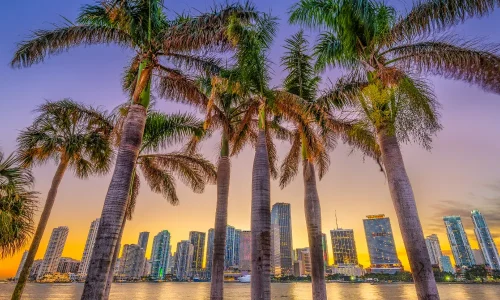 Aileyle Miami Özel Turu | Amerika Turum: Miami’de Ailenizle veya Arkadaşlarınızla Özel Rehberli Tur Yapmanın 7 Avantajı