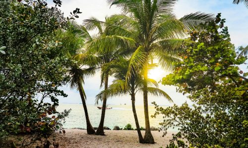 miami plaj villa tatili